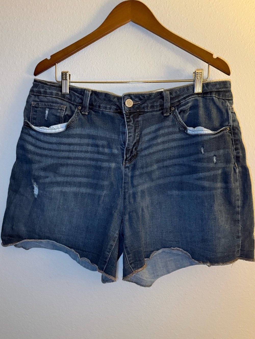 Time and Tru Dark Blue Distressed Denim Shorts